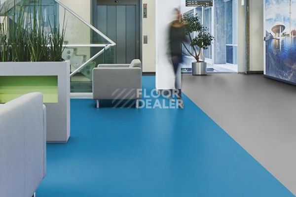 Линолеум Marmoleum Decibel on Order 364535 neptune blue фото 2 | FLOORDEALER